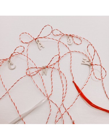 Martisor Litera Argint 925