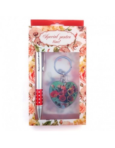 Set cadou breloc cu pix nasa: Cea mai...