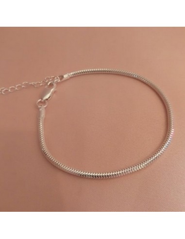 Bratara Snake Argint pentru Charm-uri... Bratara Snake Argint pentru Charm-uri...