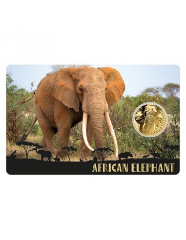 Moneda din Aur 24k Elefant African-...