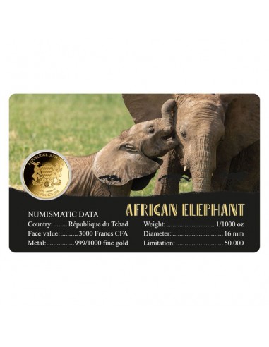 Moneda din Aur 24k Elefant African-...