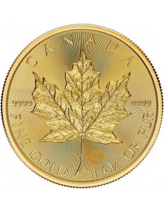 Moneda din Aur 24k - Maple...