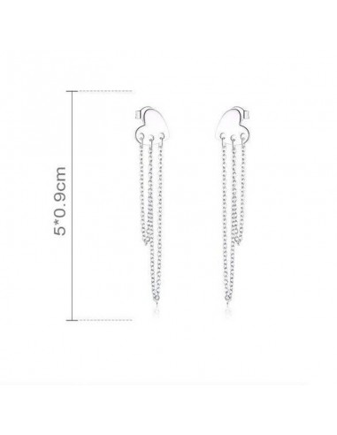 Cercei Argint Inimioare cu Lant